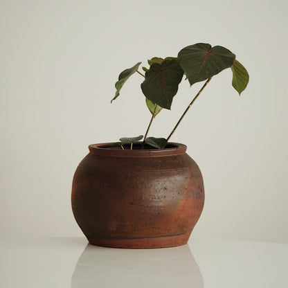 Antique Korean Jeju Onggi(1920s)