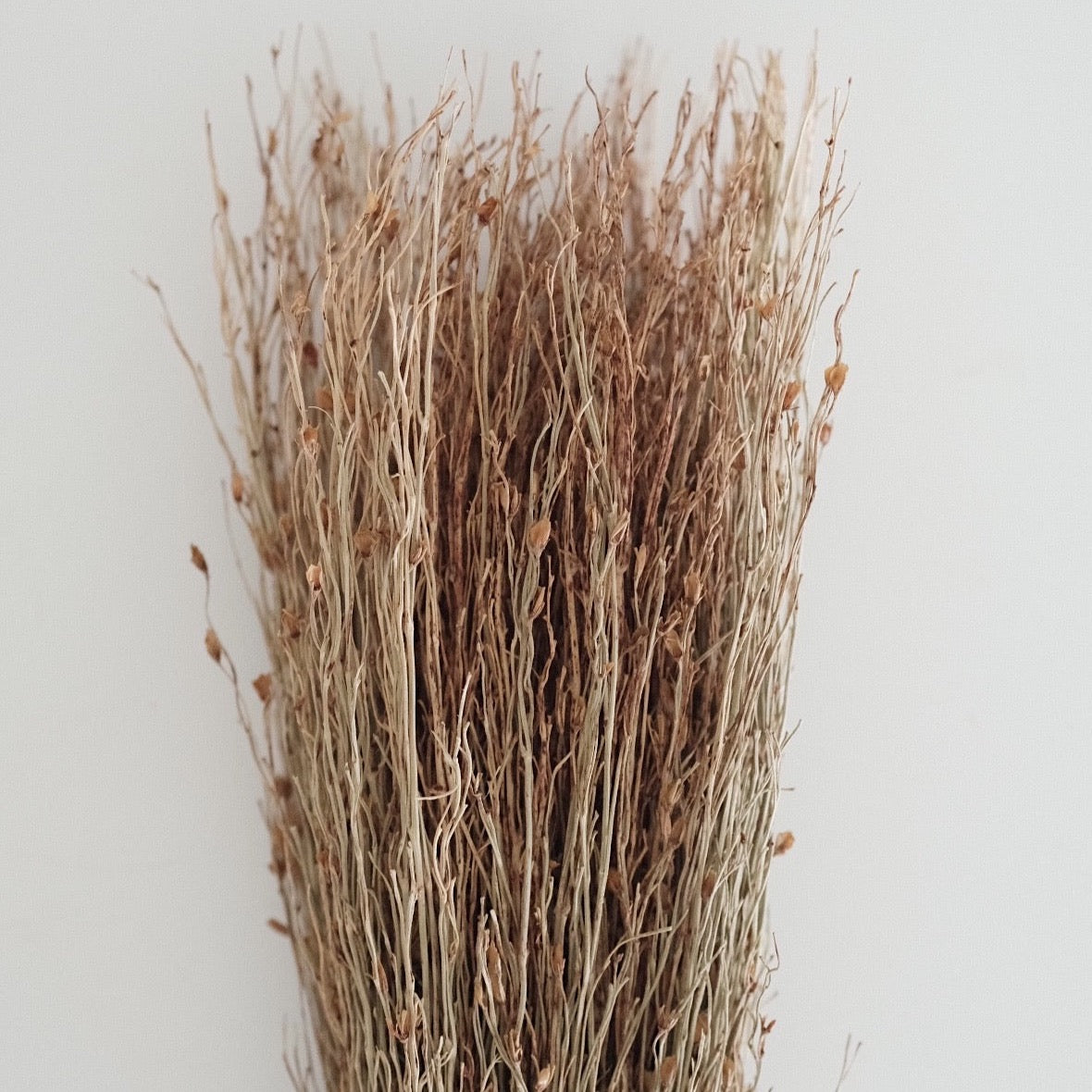 Mini Broom Bitjaru - Reed