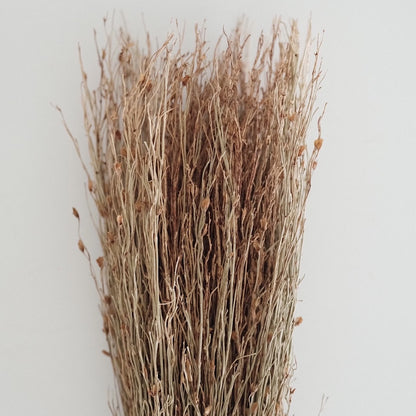 Mini Broom Bitjaru - Reed