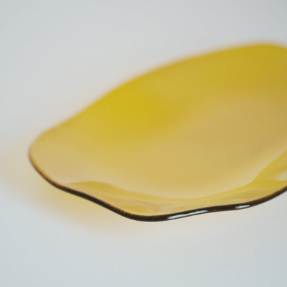 Glass Wave Plate - Yellow