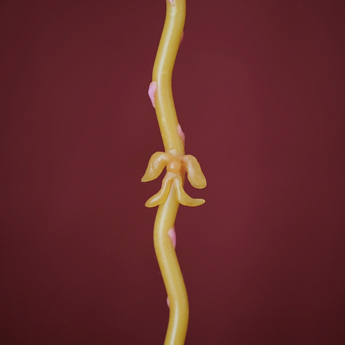 Aerigo Brass Candle Holder